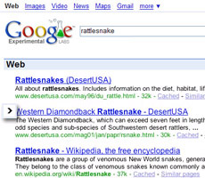 uzmangoogle3.jpg