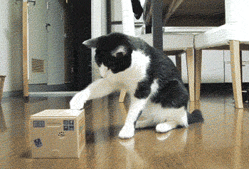 4qasp76.gif
