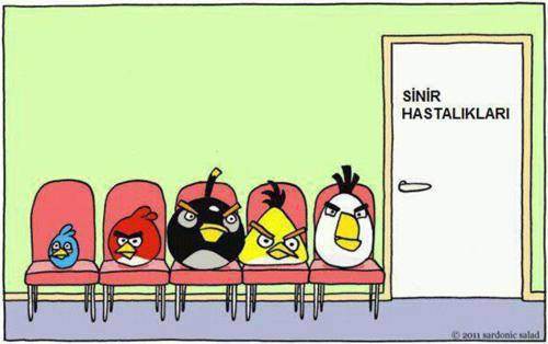 angrybirds1-d186413305.jpg