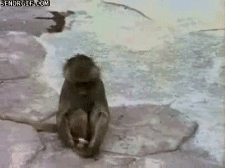 4yYwjGw.gif
