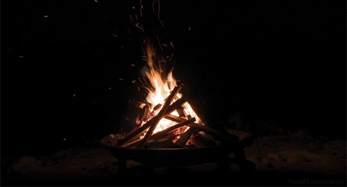 tumblr_mbhohe5S3x1r4zr2vo1_500.gif