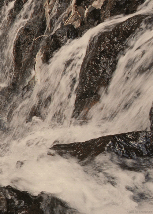 tumblr_magcjlaTDI1r4zr2vo1_r2_500.gif