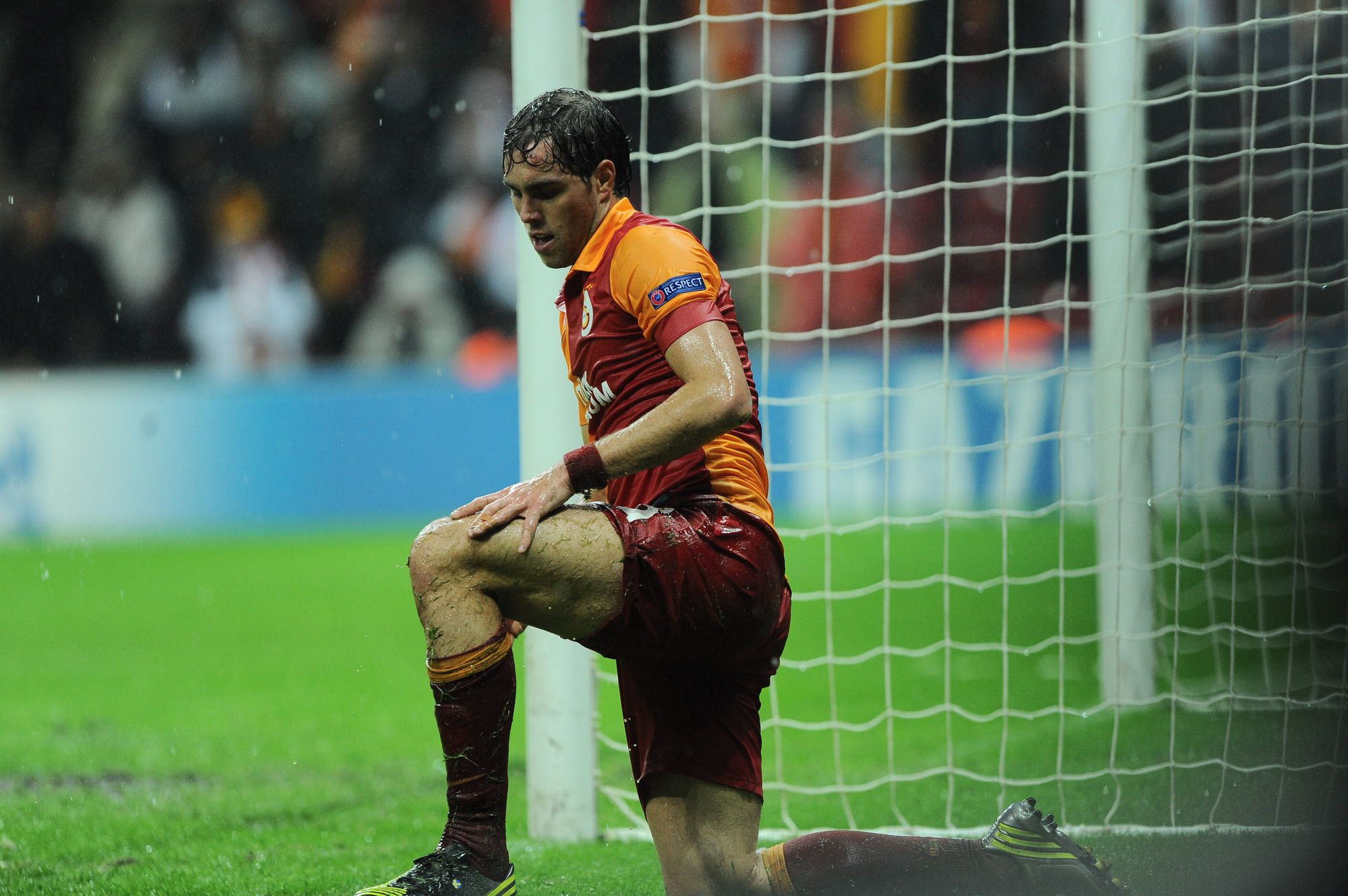 elmander342634.JPG