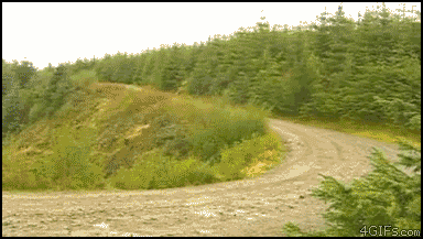 JmMLS95.gif