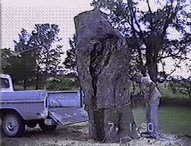 tumblr_nayy8ye4O51tpg4boo1_400.gif