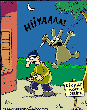 DVPgz.gif