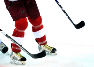 hokey3495793.jpg