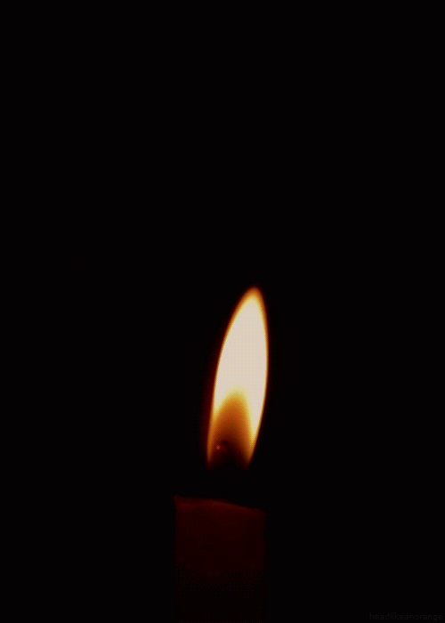 tumblr_mb9x0d6GpC1r4zr2vo1_500.gif