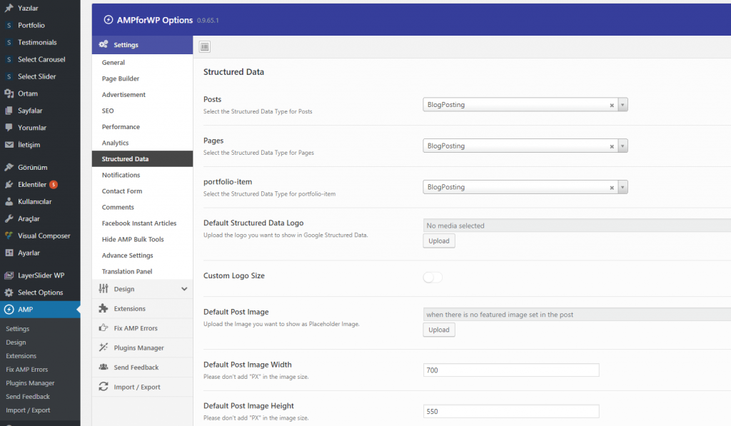 wordpress-amp-diger-ayarlari-1024x597.png
