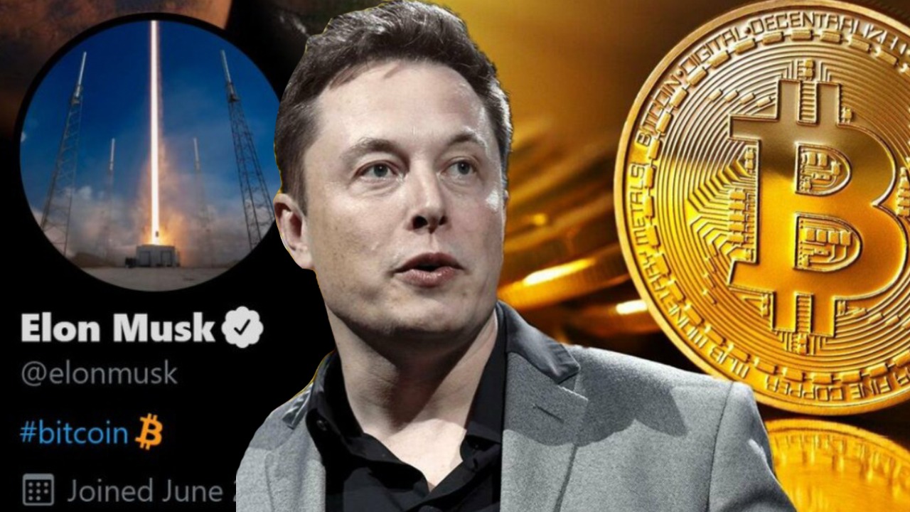 elon musk kripto varlıkları