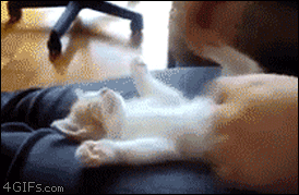 Sleeping-kitten-paws-going.gif