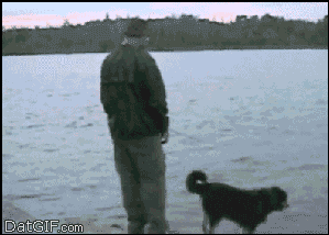 E2qXv7d.gif