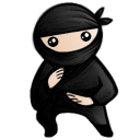 System-Ninja-2.2.png