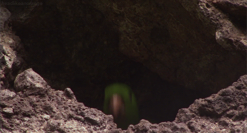 tumblr_mc5szvs4tt1r4zr2vo1_r2_500.gif