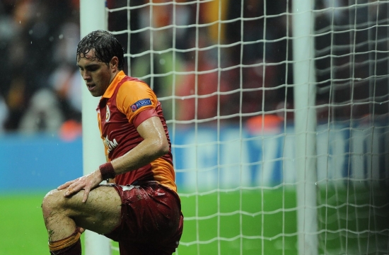 elmander342634.jpg