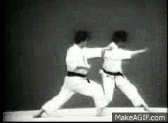 Karate%20gif.gif