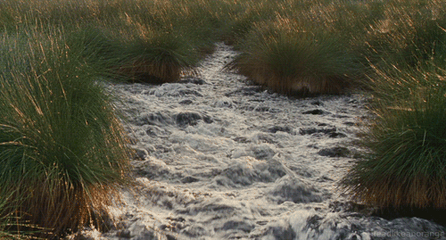 tumblr_m92nz26JHU1r4zr2vo1_r2_500.gif