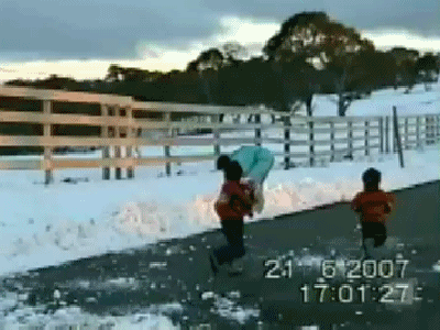Z258D.gif