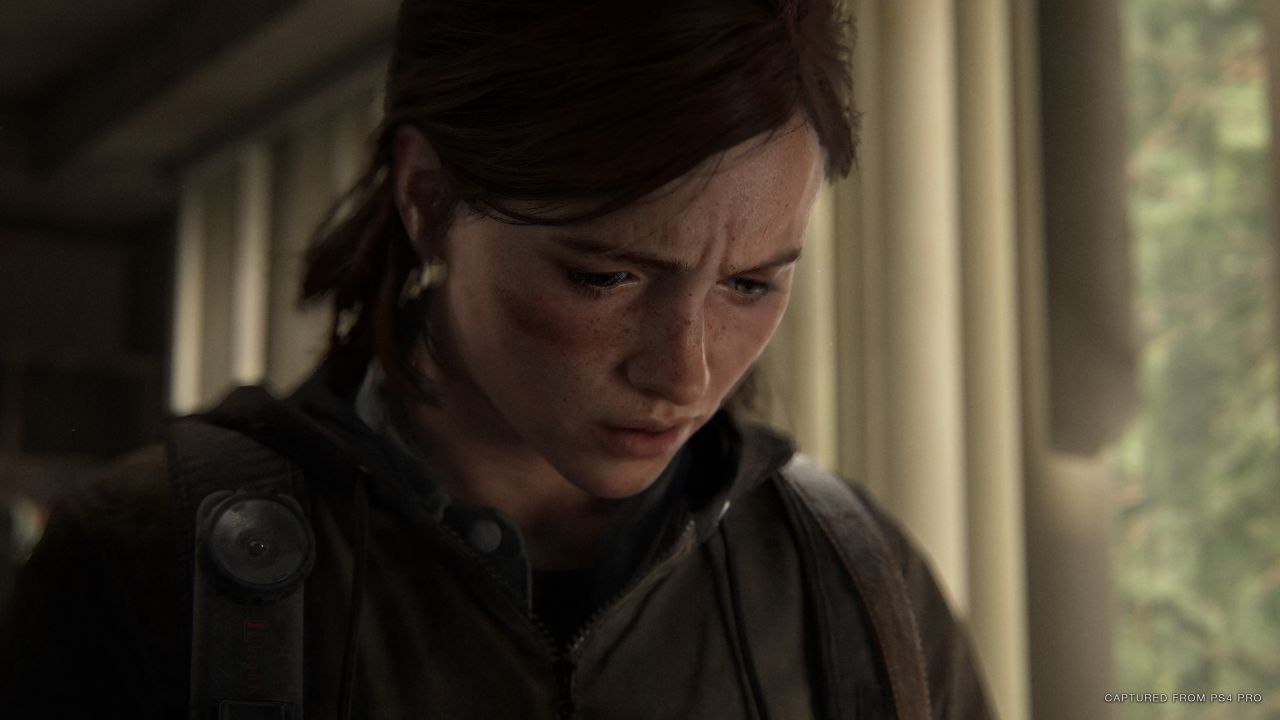 the last of us