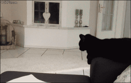 5USUH.gif