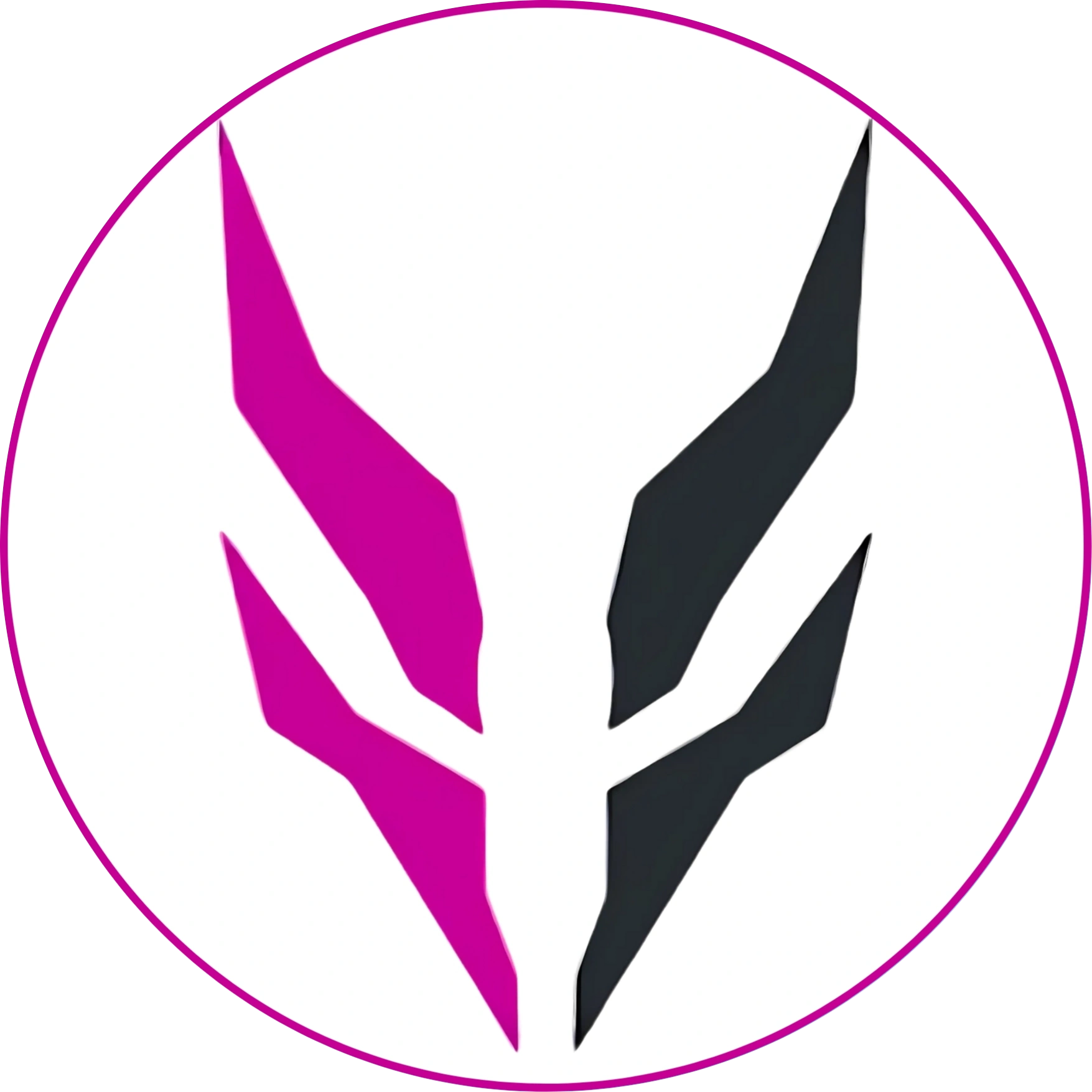 www.crtgamestore.com