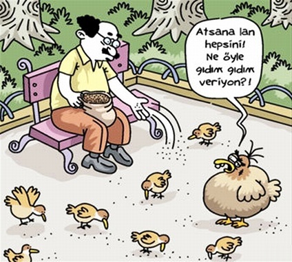 krjGPq.jpg