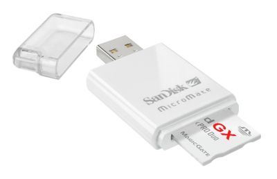 rapidgx11234960418.jpg