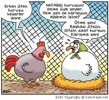 9JBz4.jpg
