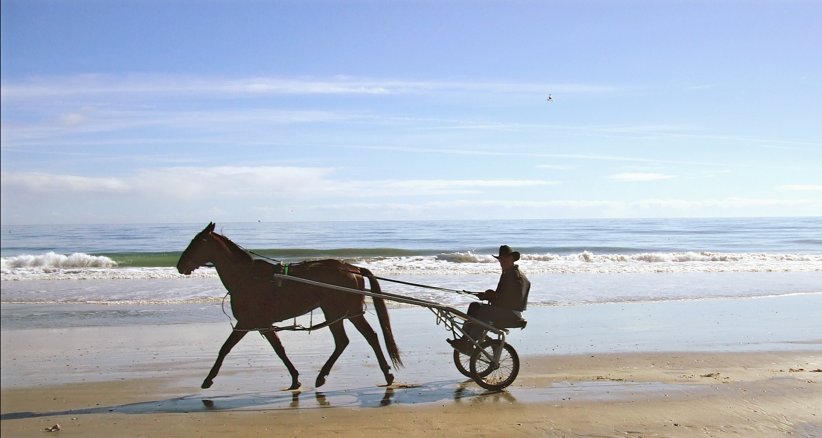 Horse_Ride_on_Beach_by_YaminoKoneko.jpg