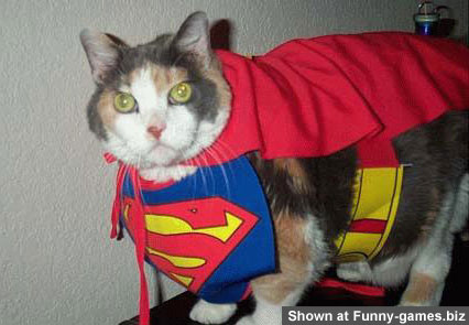 156-superman-cat.jpg