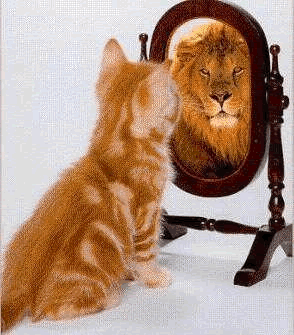 confidence1244129786.gif