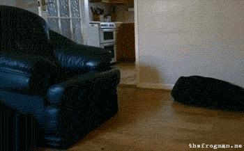 tkNiT.gif