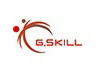 gskill.jpg