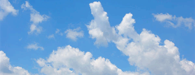 animated.gif