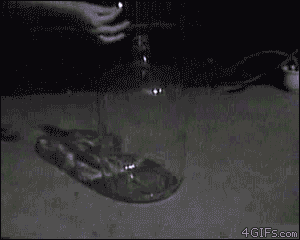 KWQPMcY.gif