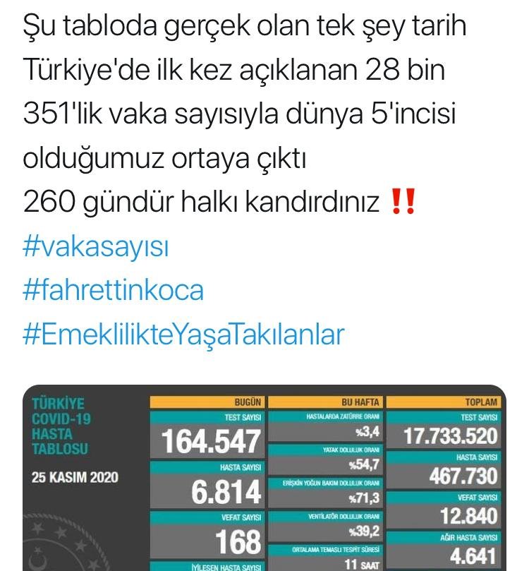 vaka5.jpg
