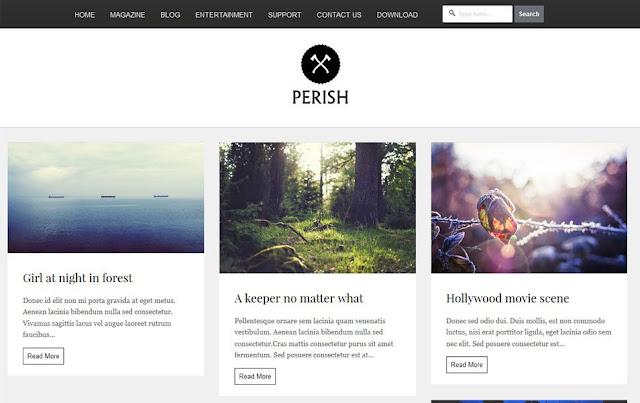 Perish-Blogger-Template1.jpg
