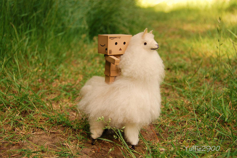 Danbo_and_his_pet_Llama________by_Yuffie2900.jpg