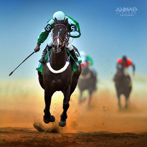 Horse_racing_by_ahmed_Alsheme.jpg