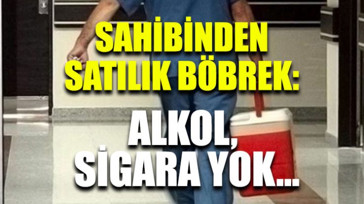 bobrek-satilik-740x416.jpg