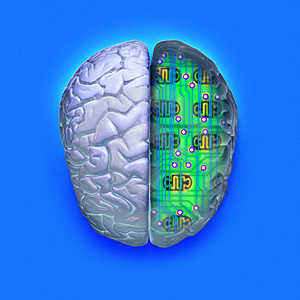 blue-brain-circuit-thumb36374101258720858.jpg