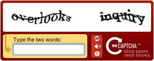 recaptcha-example.gif