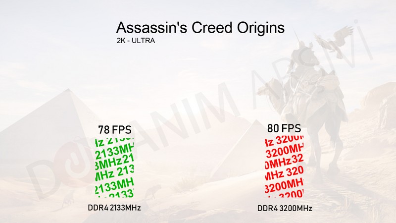 assasin-s_800x450.jpg