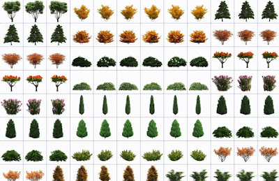 1454223356_download-pack-png-images-trees-on-a-transparent-background-100-png%2B-%2BKopya.jpg