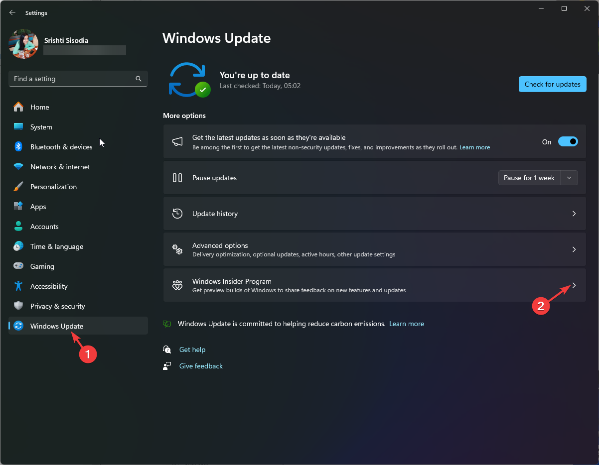 Windows Update'e ve ardından Windows Insider Programı'na tıklayın.