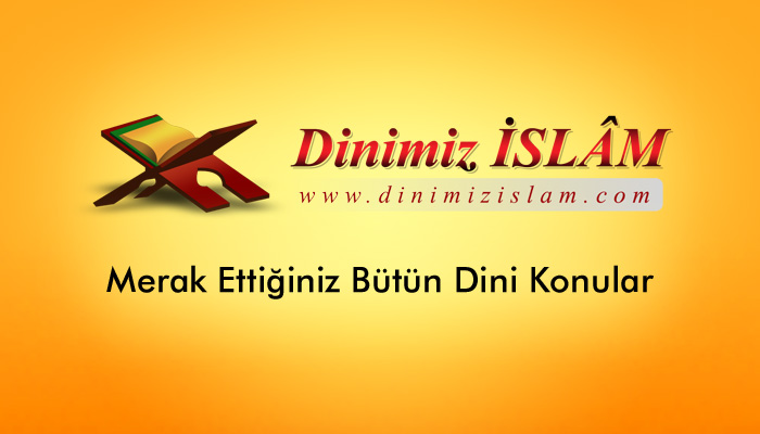 dinimizislam.com