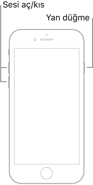 Yüzü yukarı bakar durumda, Ana Ekran düğmesi olan bir iPhone modelinin resmi. Sesi aç ve sesi kıs düğmeleri aygıtın sol tarafında, yan düğme ise sağ tarafında gösteriliyor.