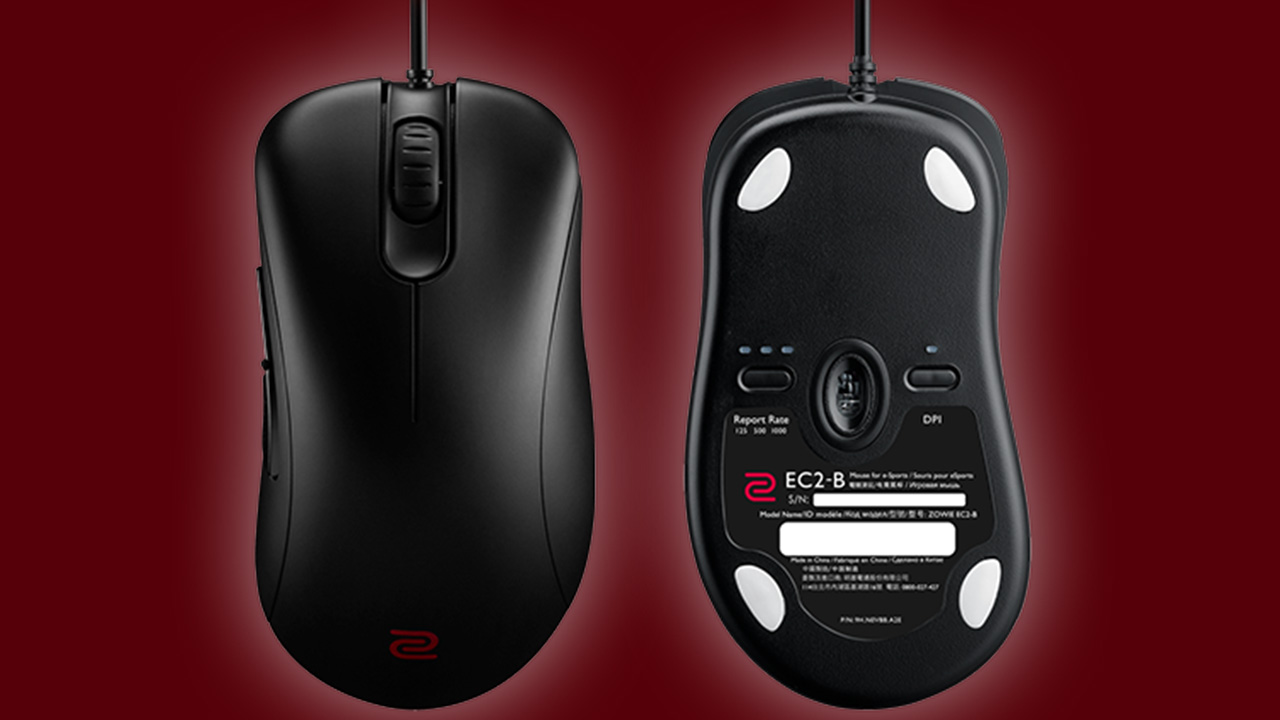 Zowie u2 купить. Мышка Zowie EC-2a. BENQ Zowie ec2. Ec2-b Zowie and ec1. Zowie ec2 беспроводная.