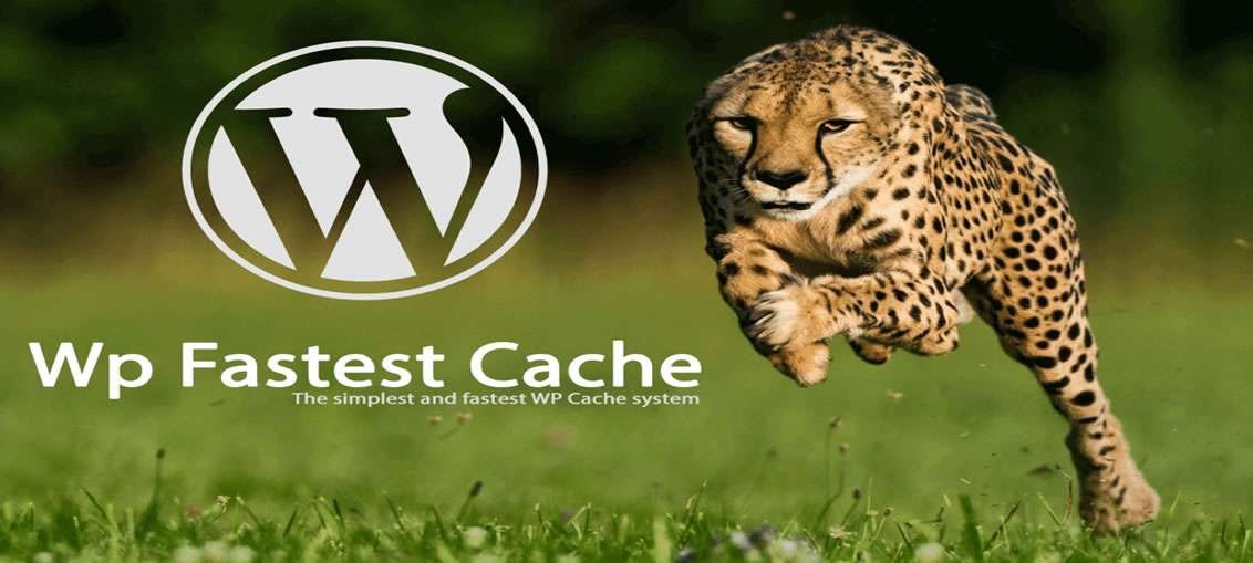 wordpress-eklentileri-wp-fastest-cache.jpg